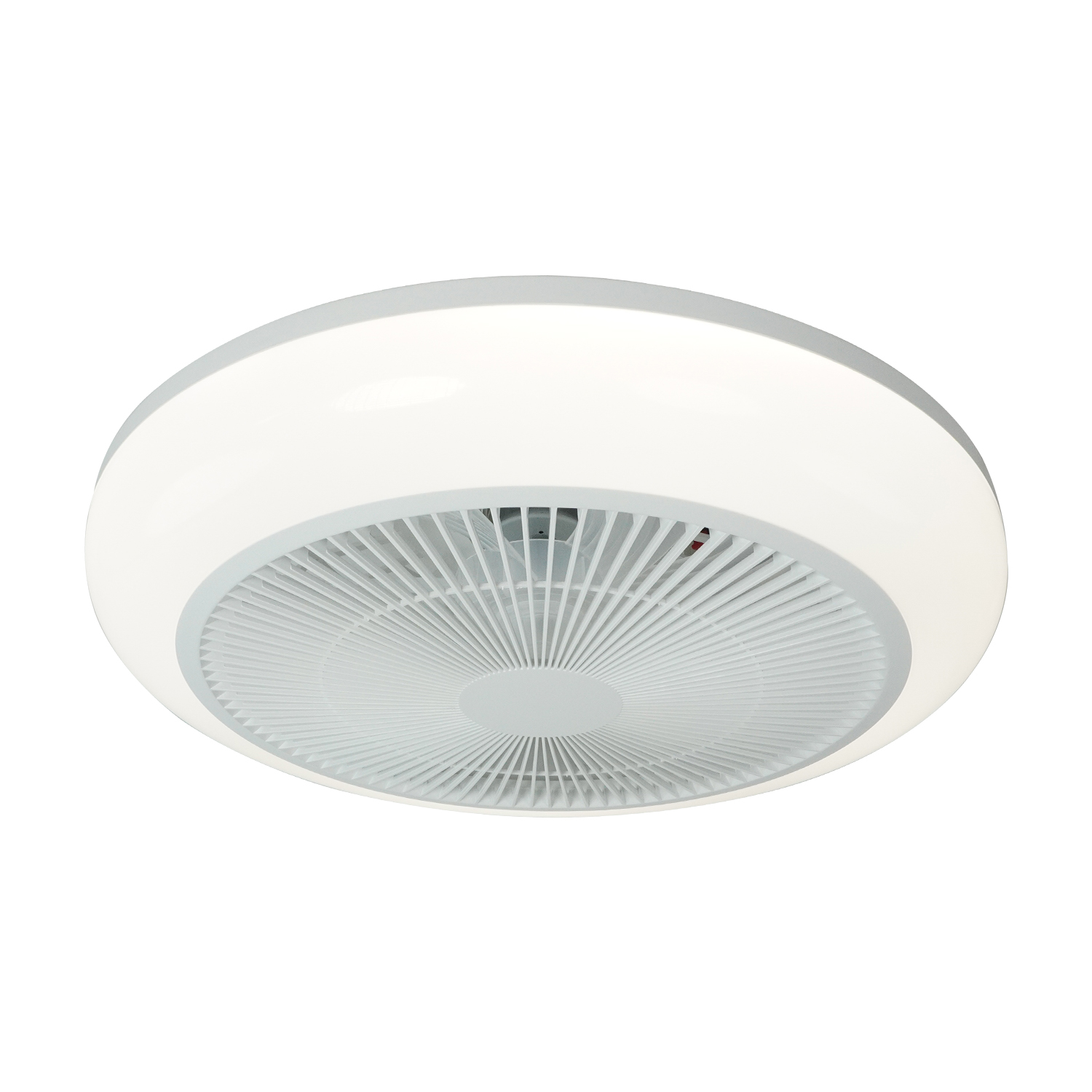 Voice control Fan Light